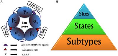 Computational Studies for Structure-Based Drug Designing Against Transmembrane Receptors: pLGICs and Class A GPCRs